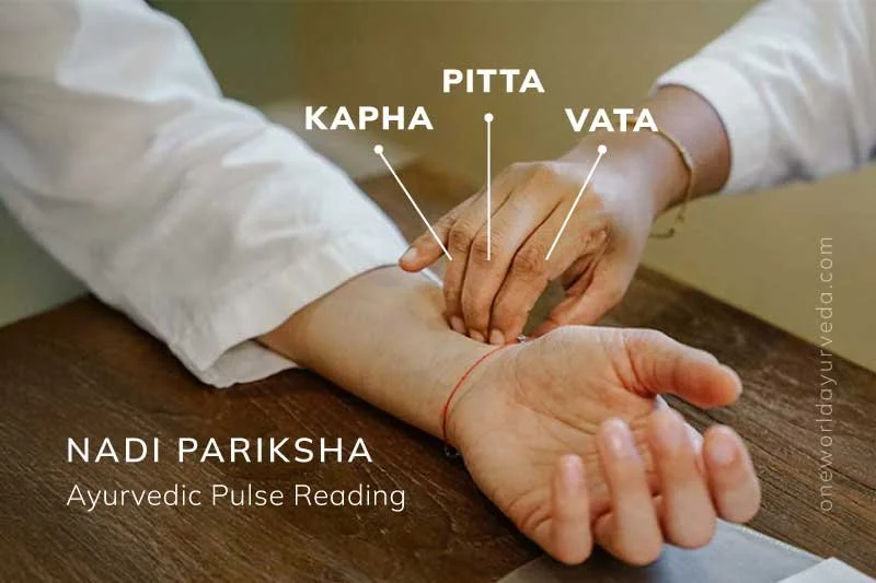 What is Nadi Pariksha?