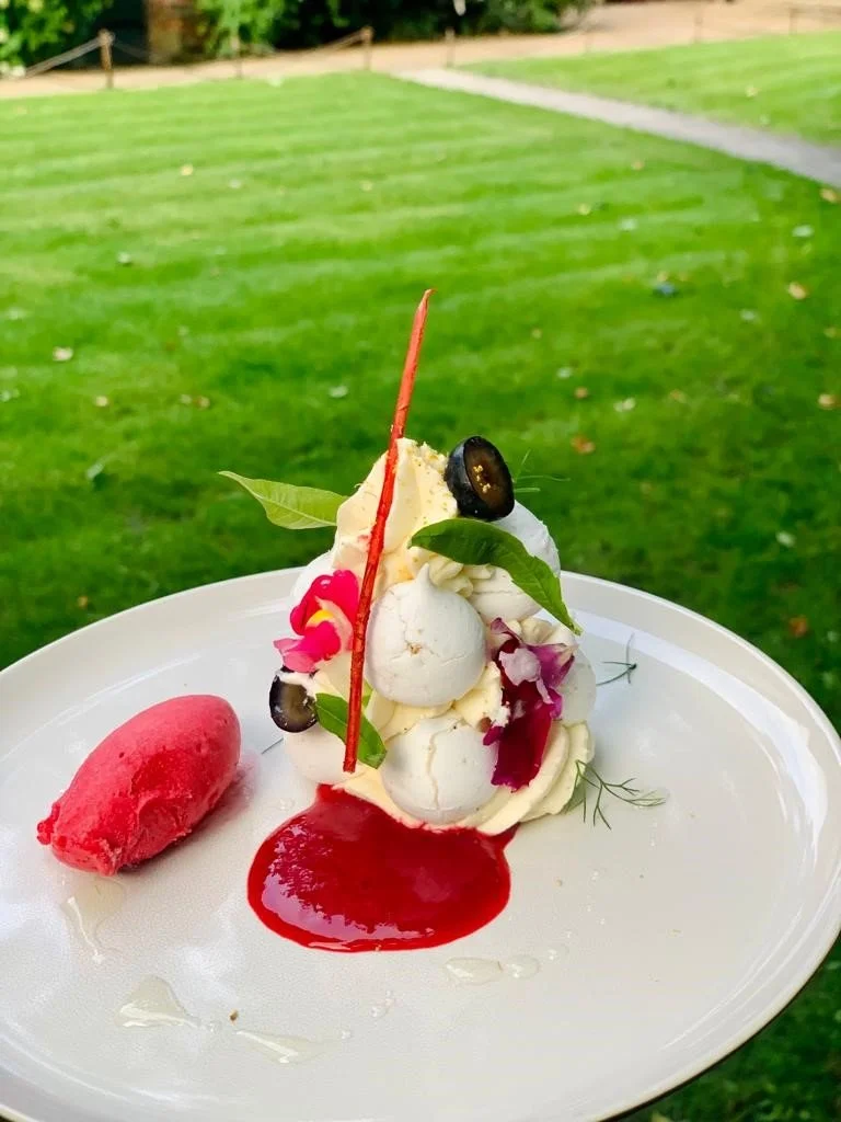 Dessert plate with ice cream, fresh berries, fruit sauce, and a pink sorbet, set outdoors on a white plate with a grass lawn in the background.
