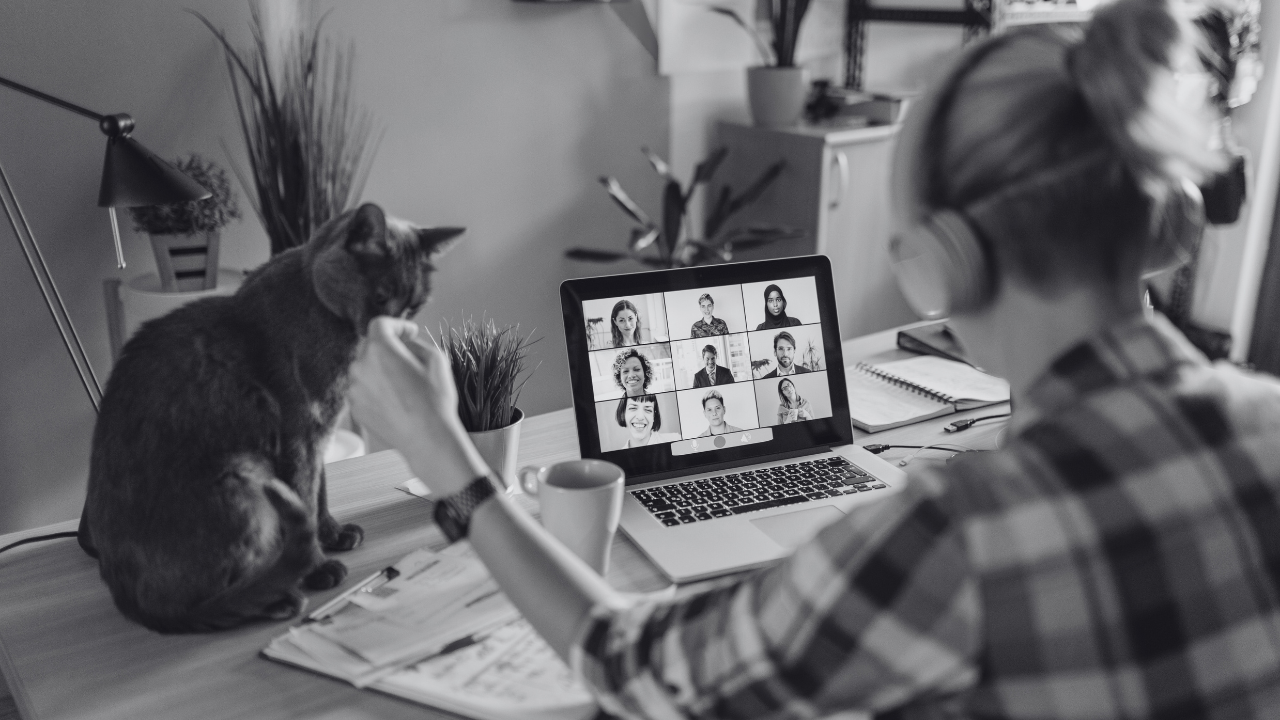 Woman on virtual team meeting