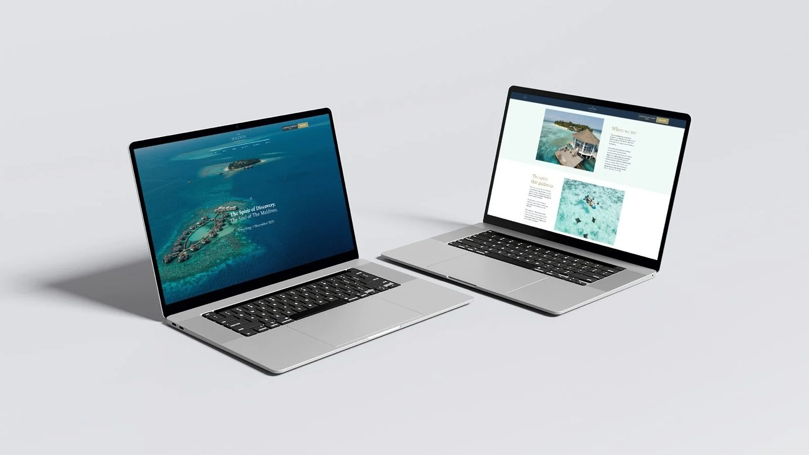 Halcyon website desktop.jpeg