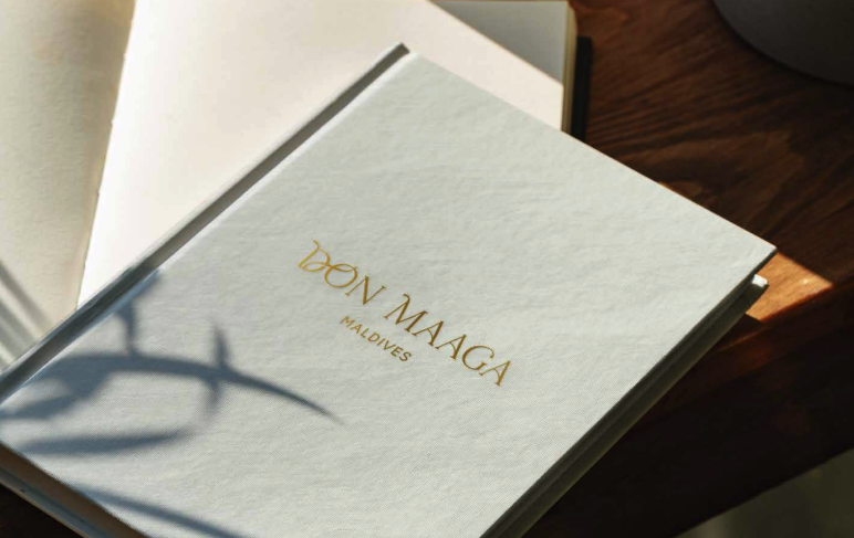 Don Maaga branding BRTN.png