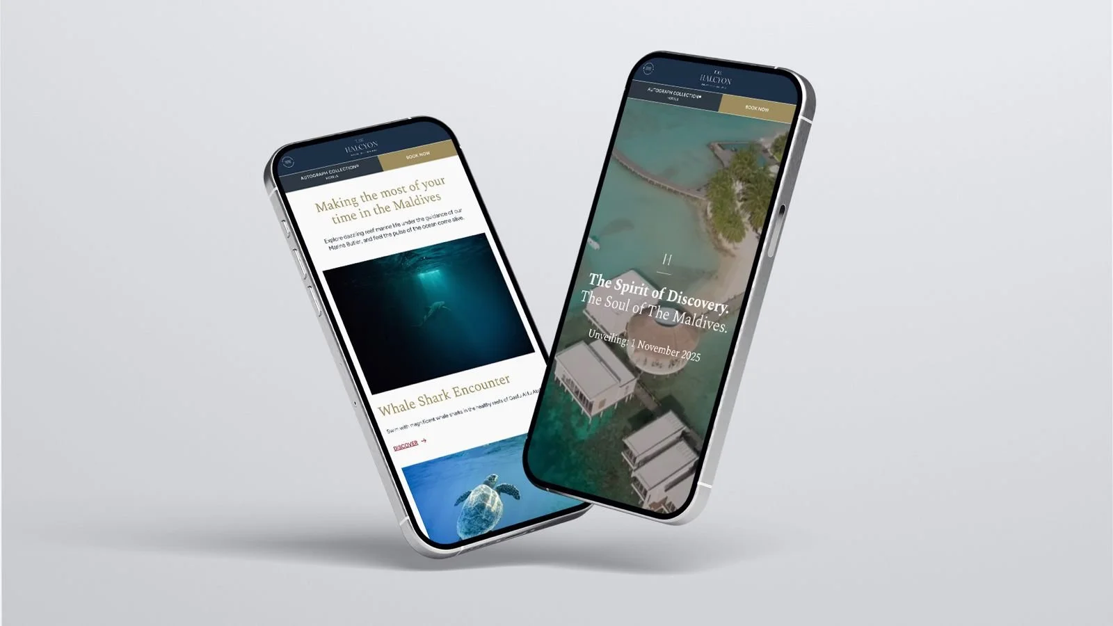 Halcyon web mobile.jpeg