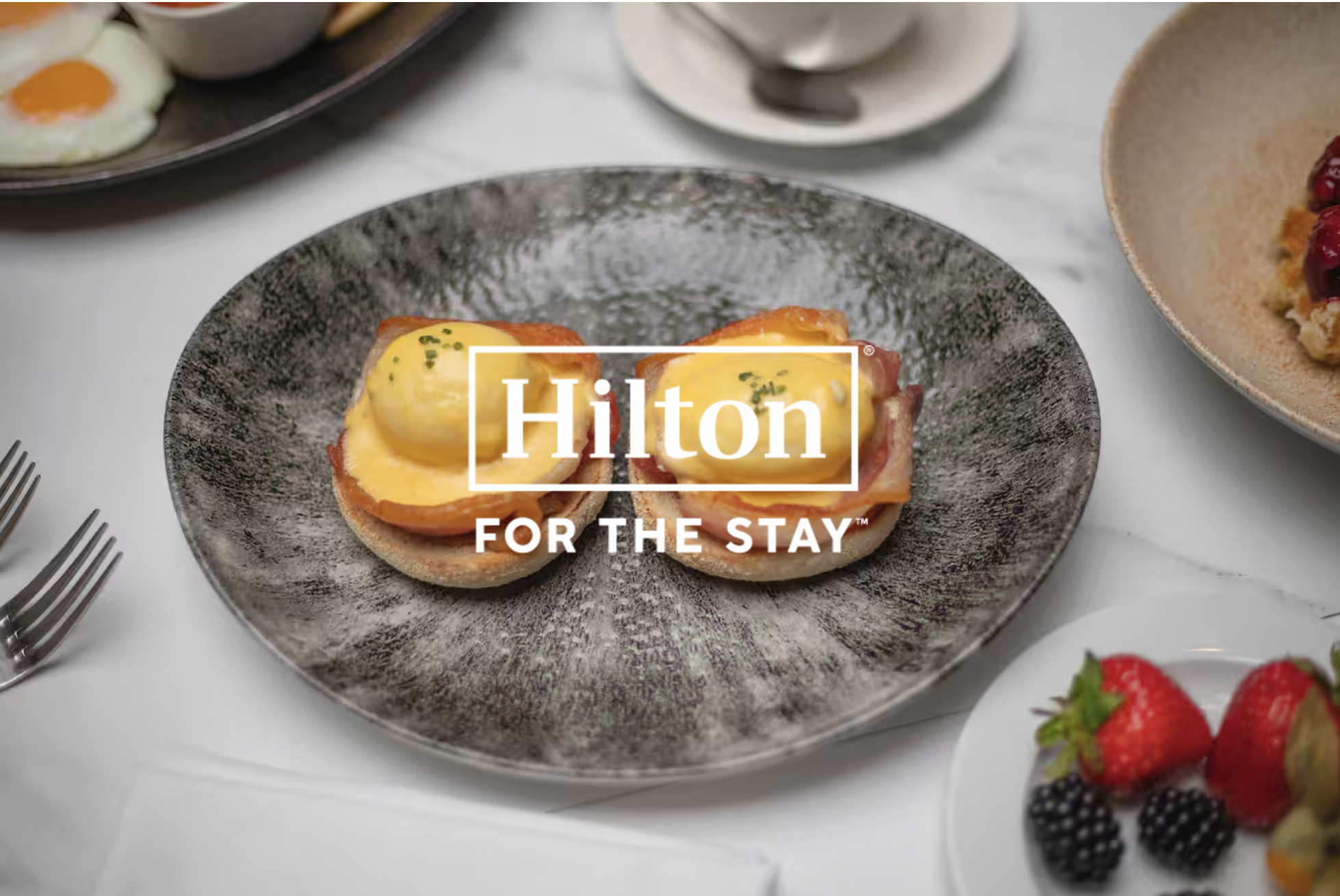 Hilton brtn website.png
