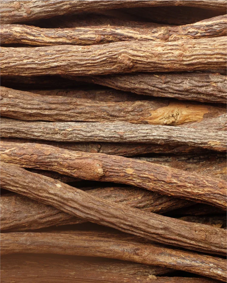 Licorice_Root_ea14be1a-3094-43cb-b475-307981e0e96f.jpg.webp