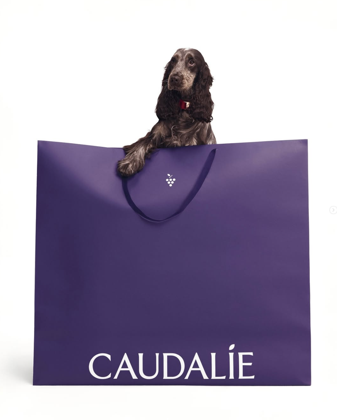 Screenshot 2026-01-26 at 10.51.45.png