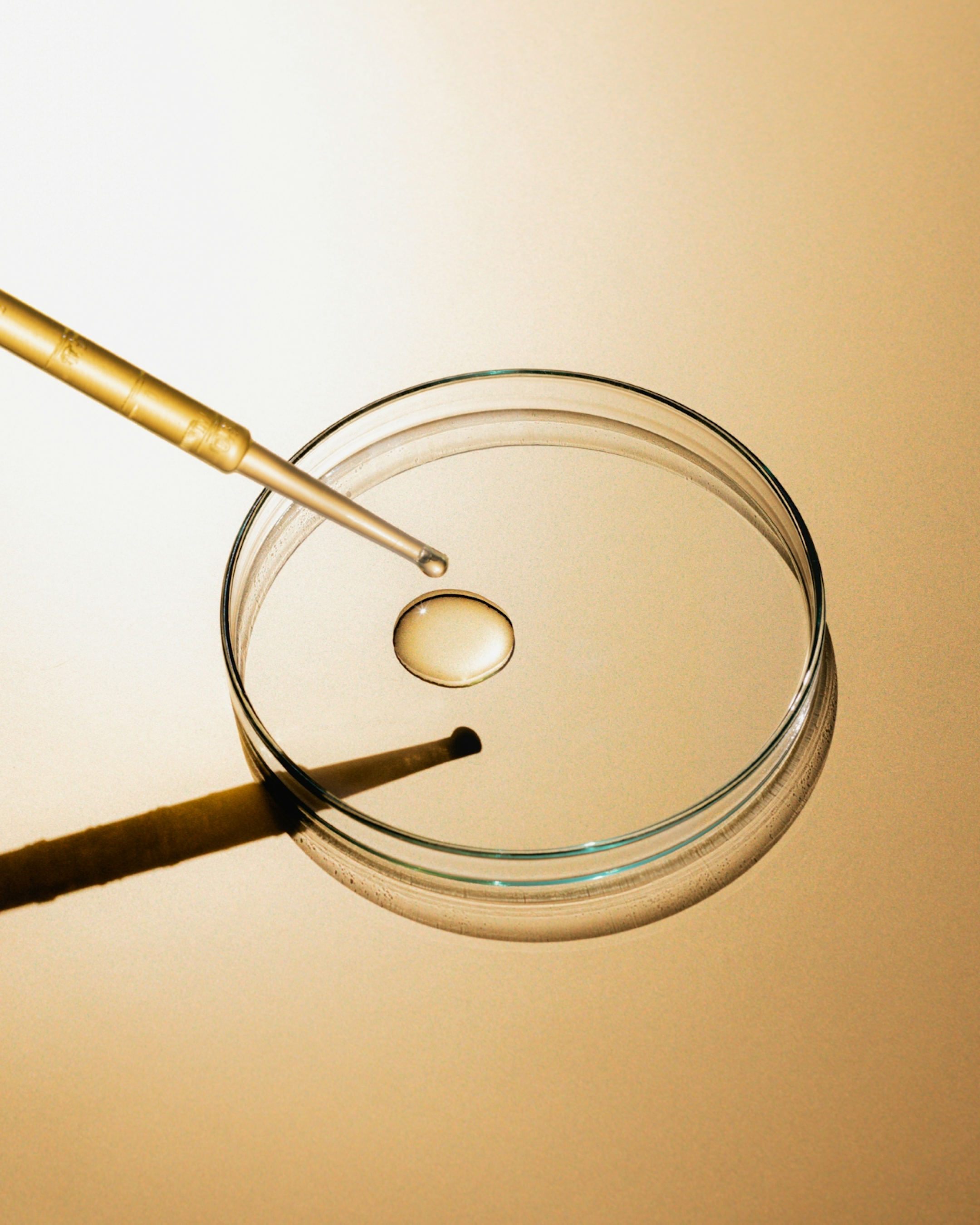 Skincare Ingredients 101 Guide for Beauty Founders