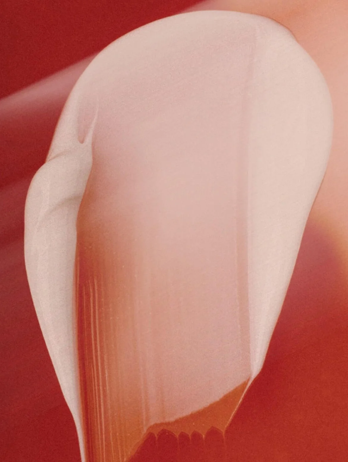 Anti-Ageing Performance Duo.jpg