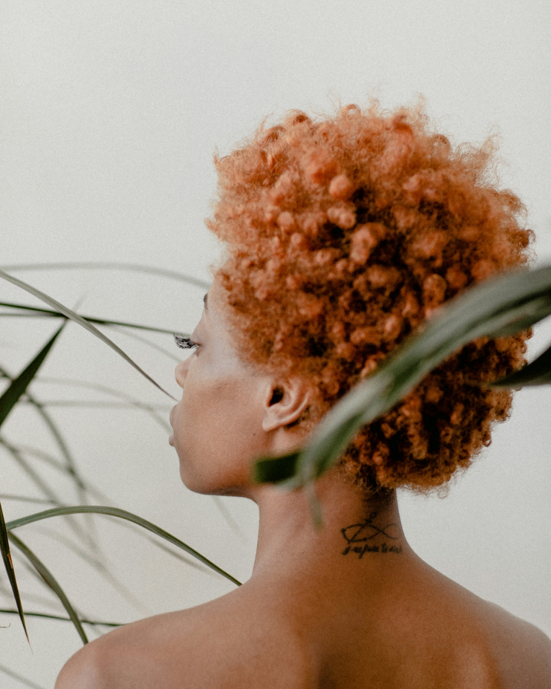 Instagram post - 6.png