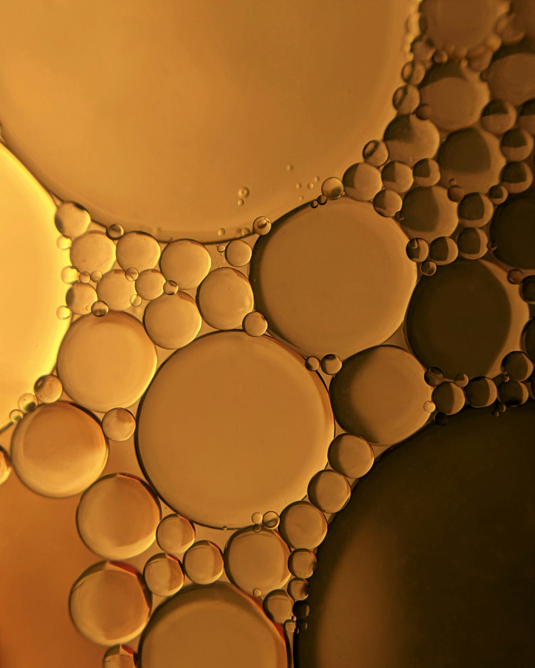 Omega-3-6-9 Benefits for Your Next Skincare Formula