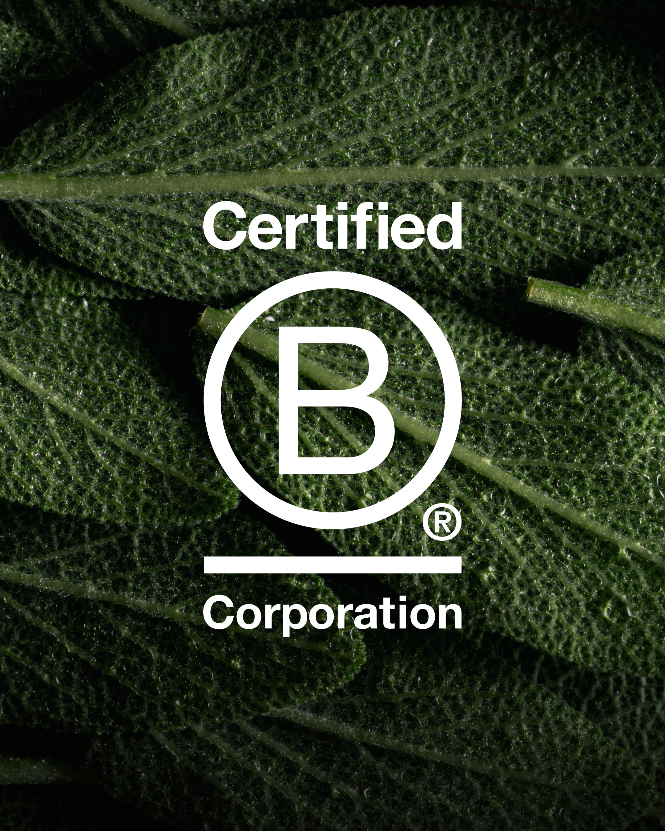 Meet the newest B Corp in beauty: Selfnamed