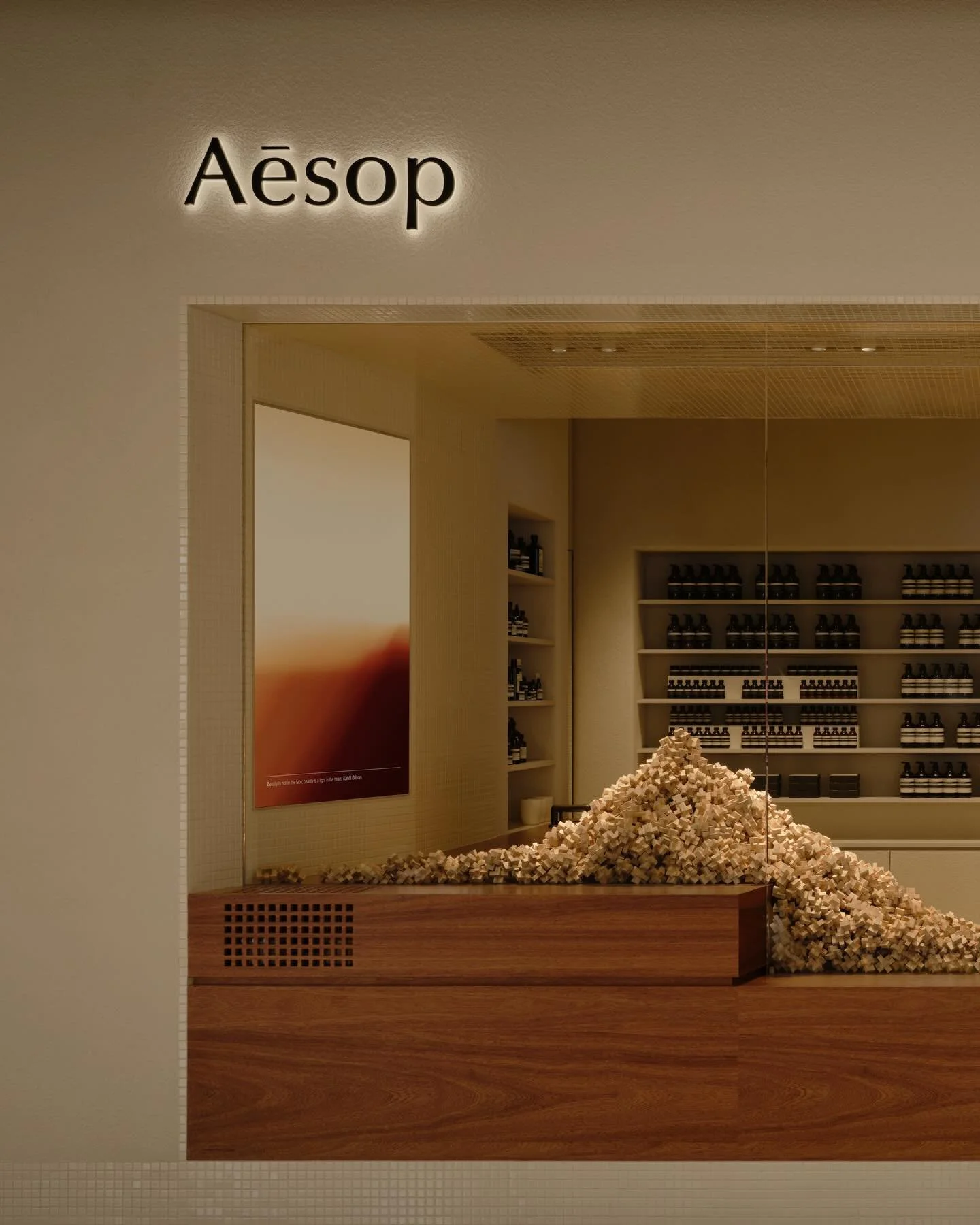 Aesop salon.jpg
