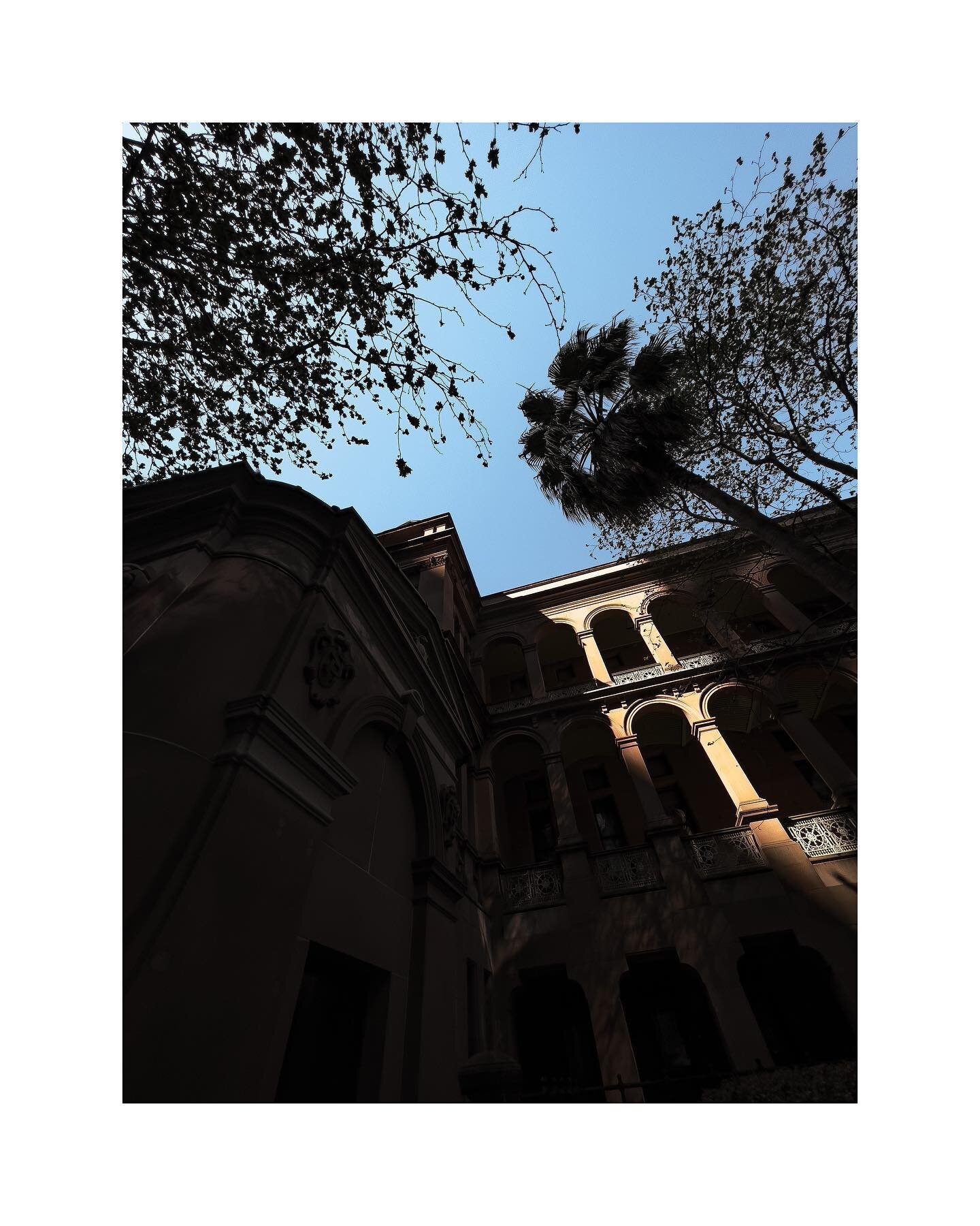 The city comes to life as the sunlight filters through the trees #sunlight #oldbuilding #urbancity #trees #cityscape #landscapephotography