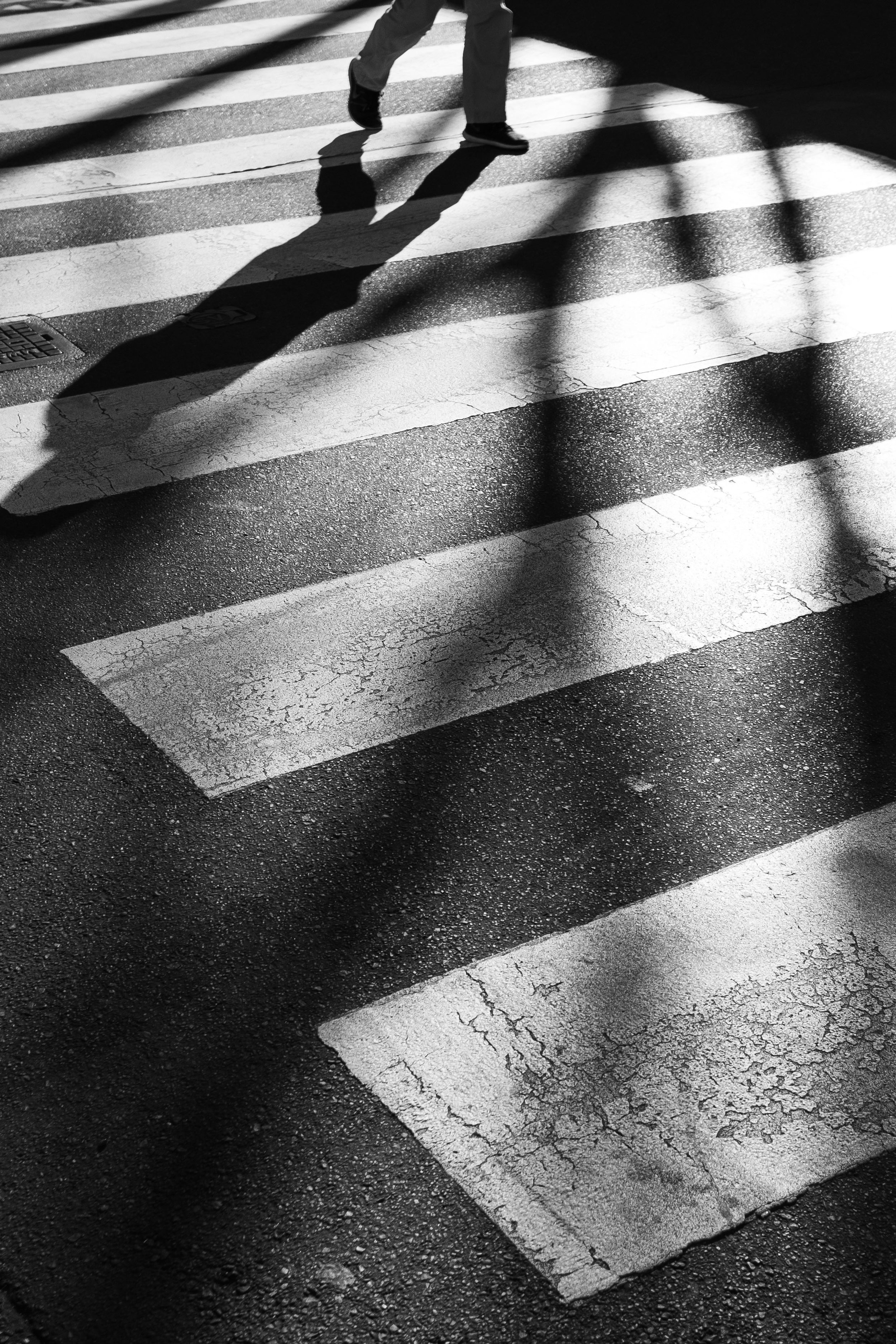 Street_cross_Sydney-5.jpg