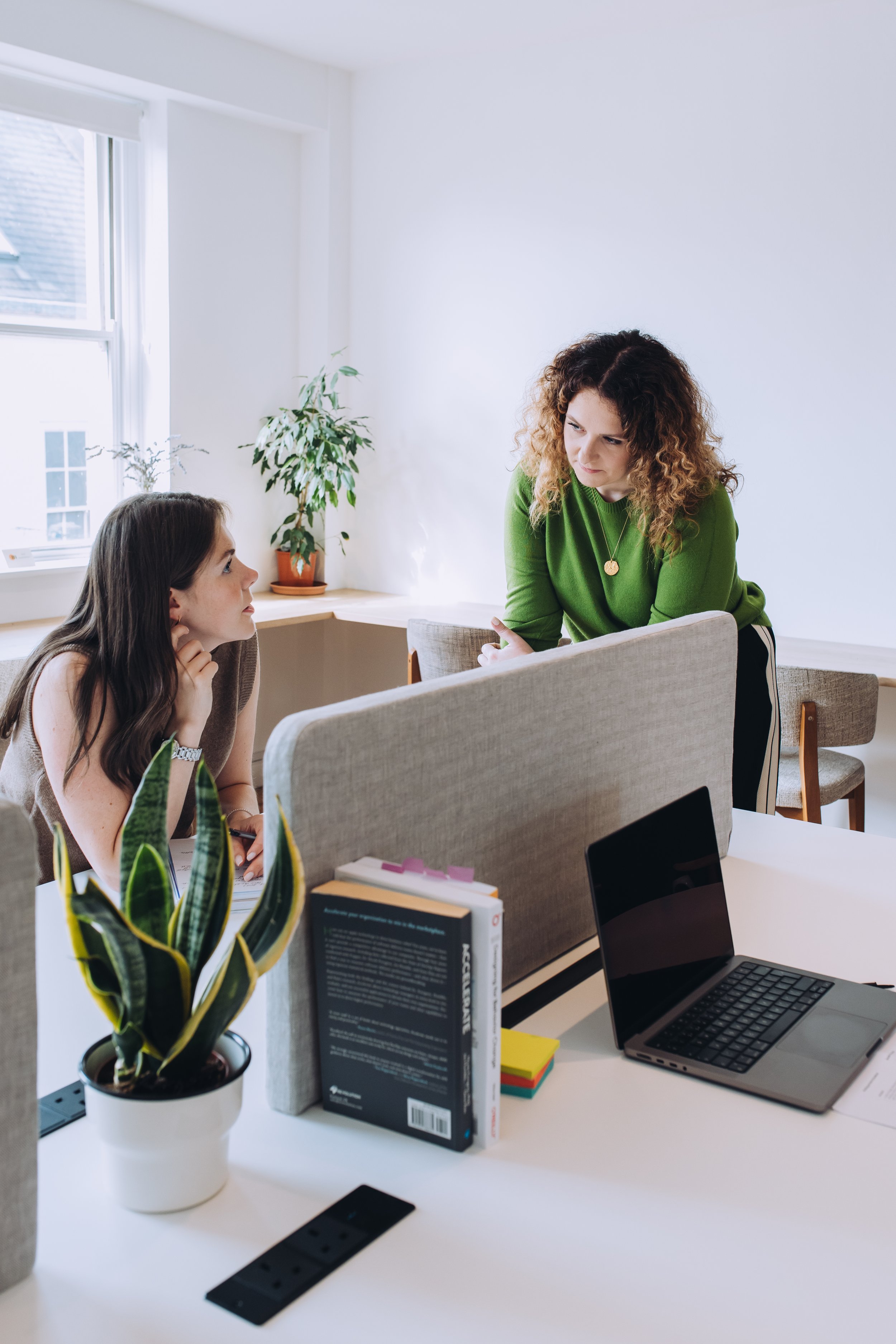 Two women having a discussion in a bright office with a potted plant on a desk, a laptop, books, and a window in the background.