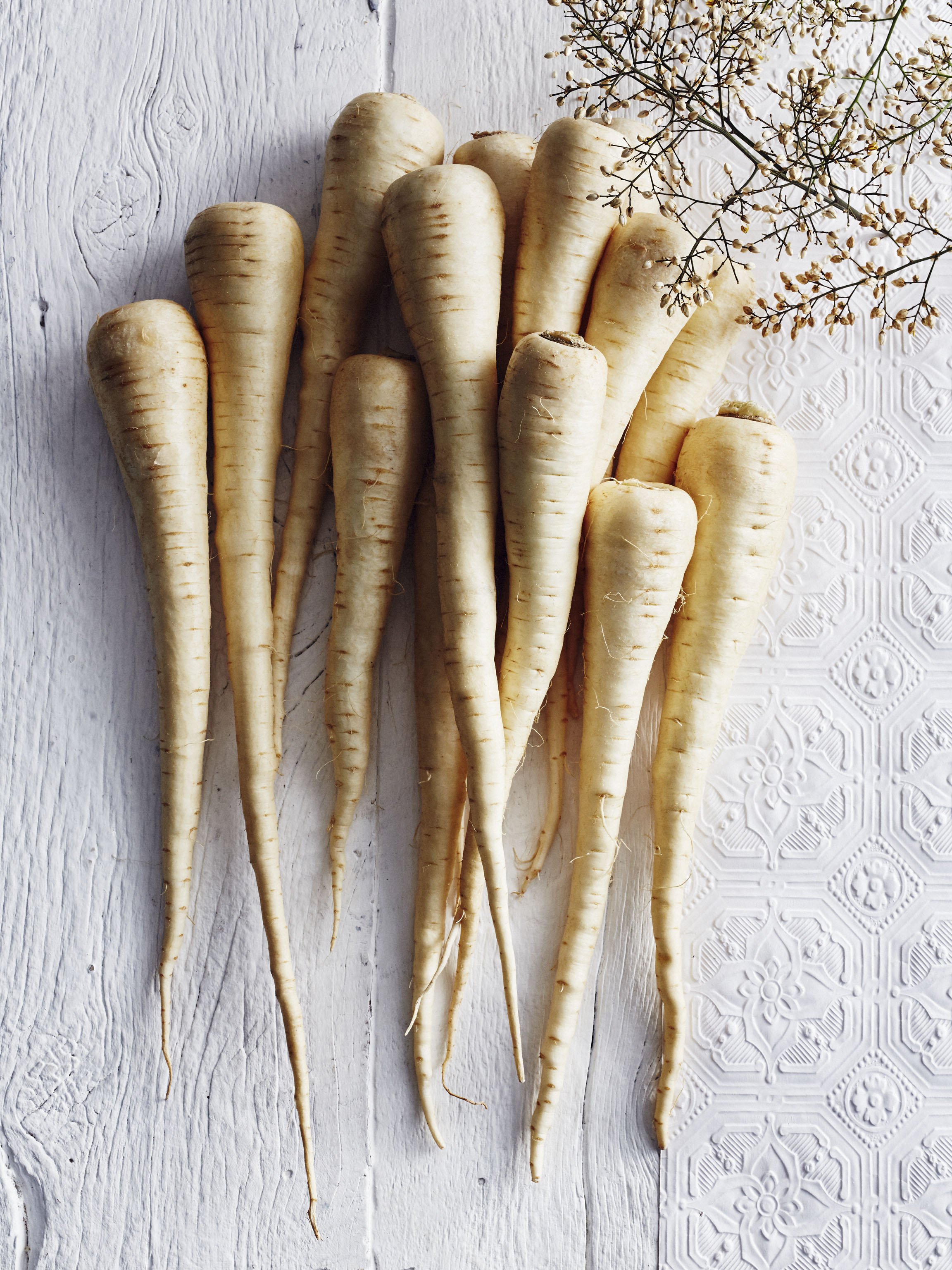 AAIDShotParsnips-0170.jpg