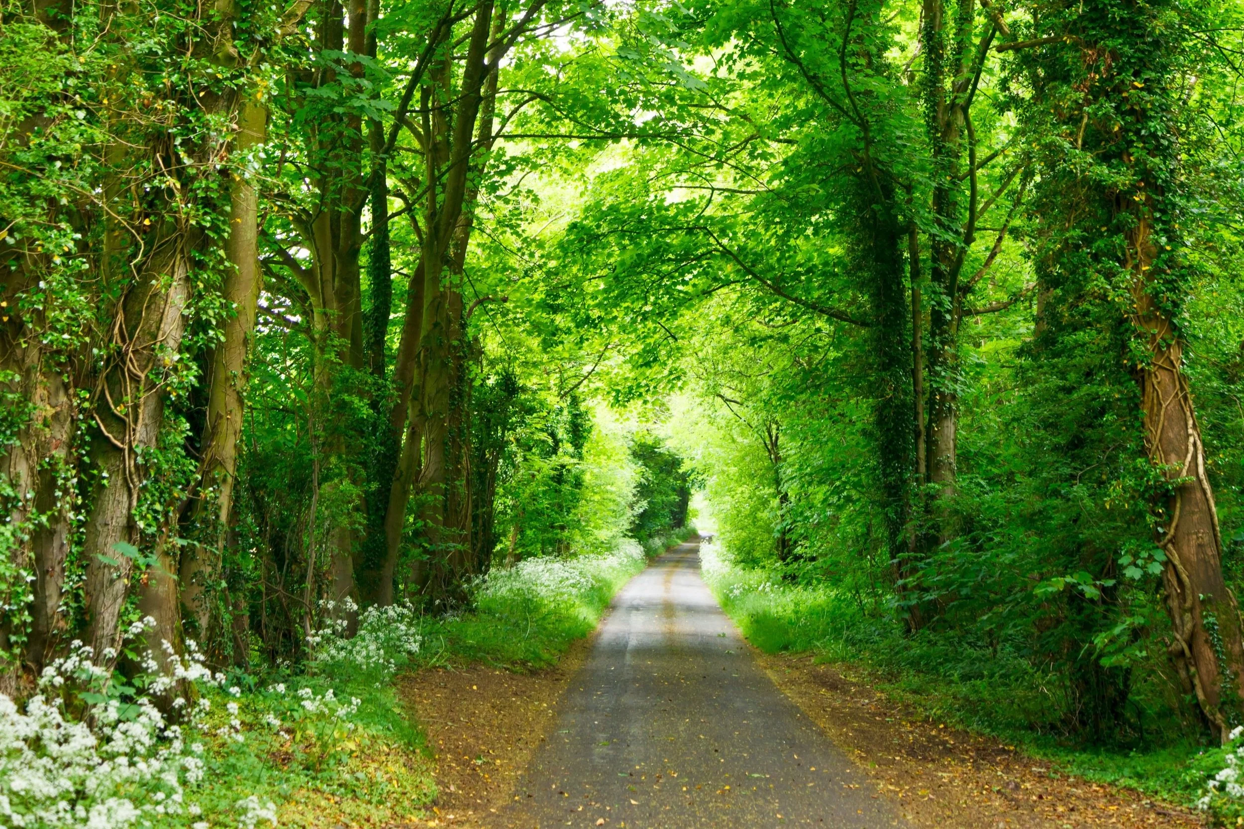 What Is Palliative Care?