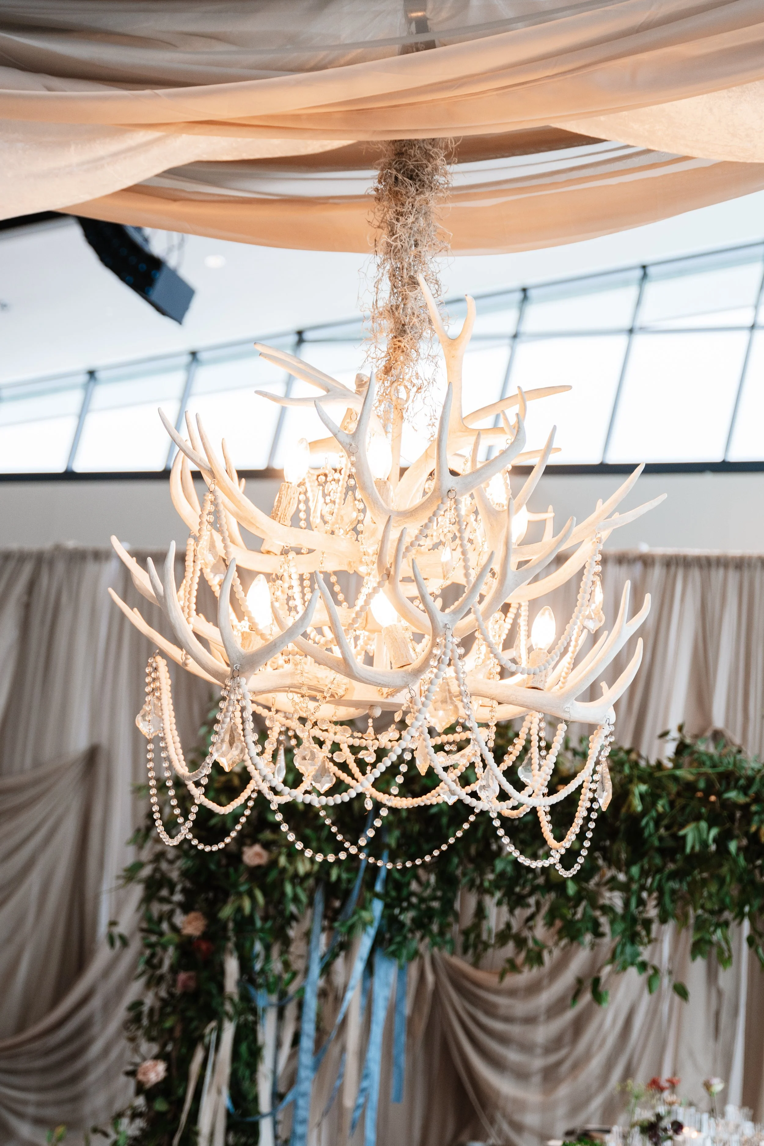 Liz Jahl Photography-7.jpg