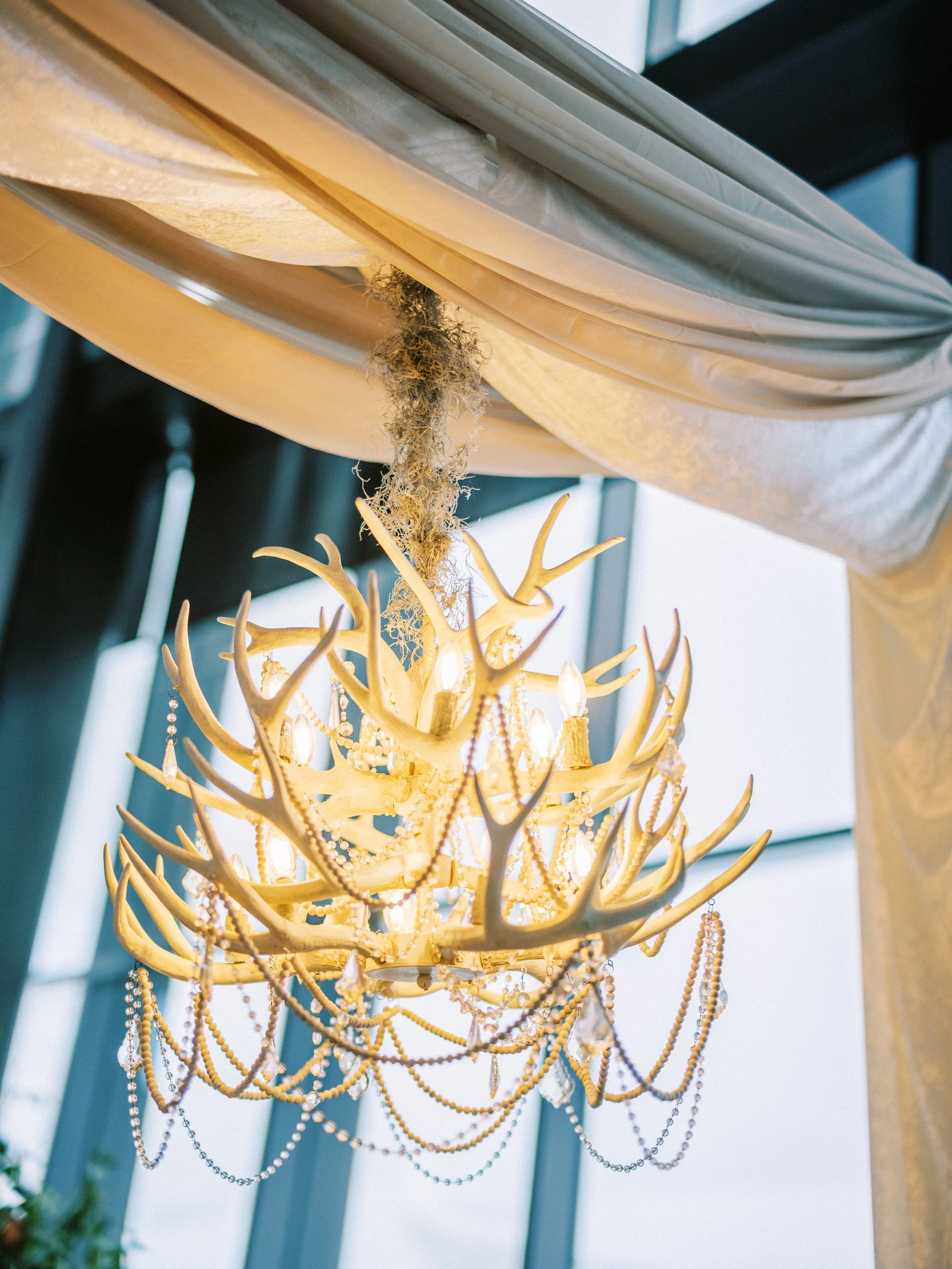 OpticSam Photography - Country Music HF-9.jpg