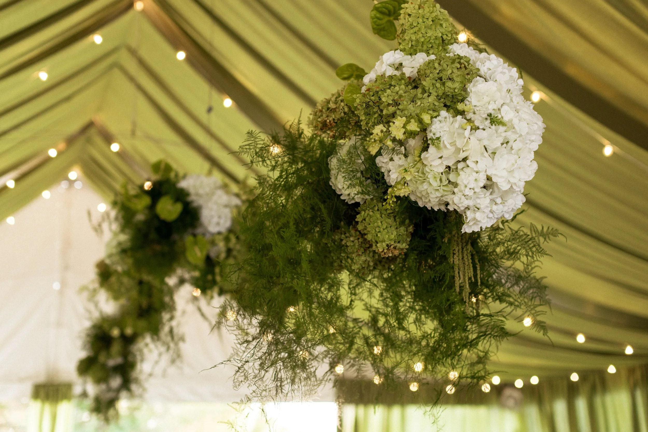 Green Ceiling Draping
