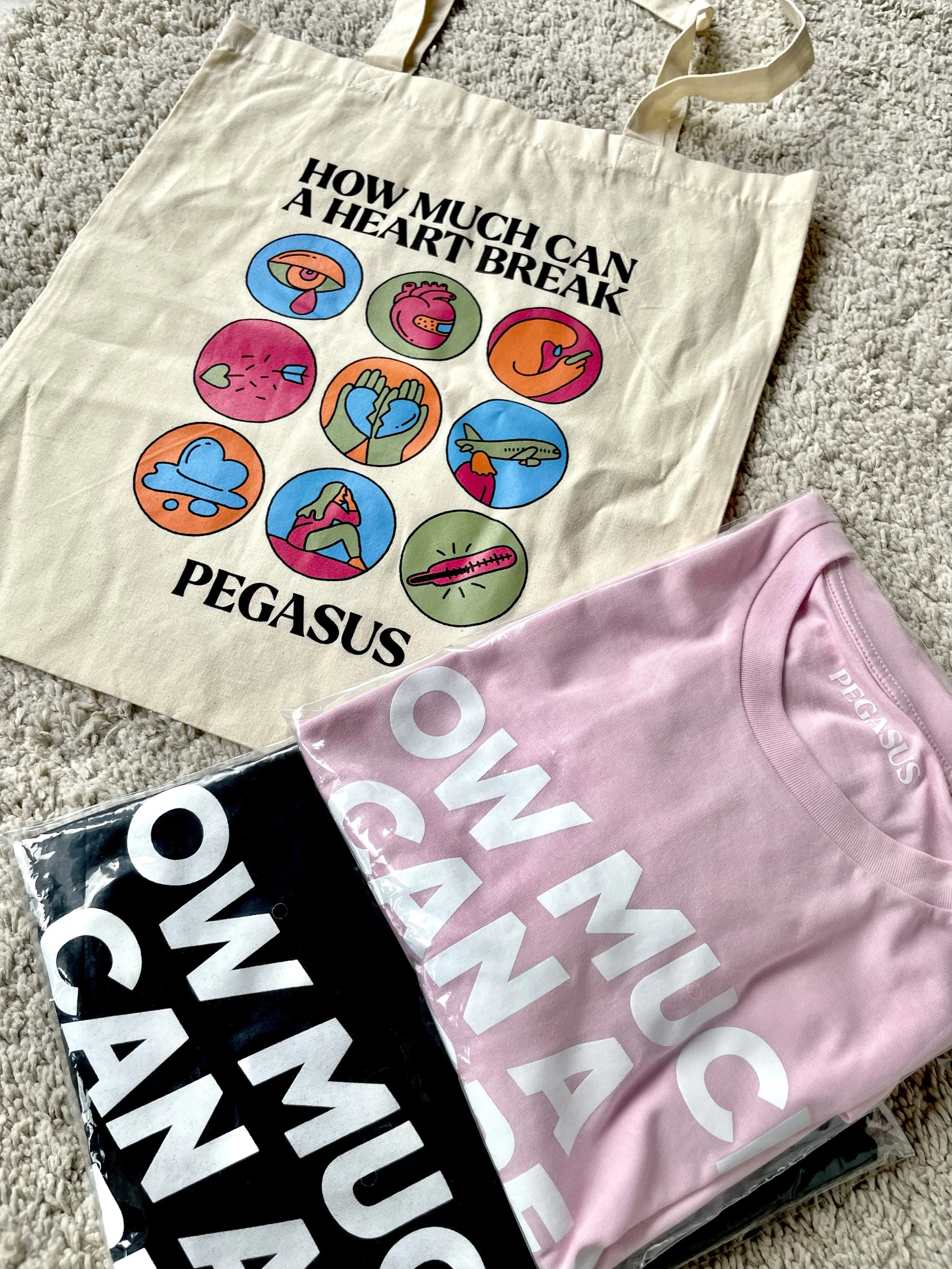 Tour merchandise design for Pegasus by freelance illustrator Sayori Wada, including T-shirts and posters for live concerts