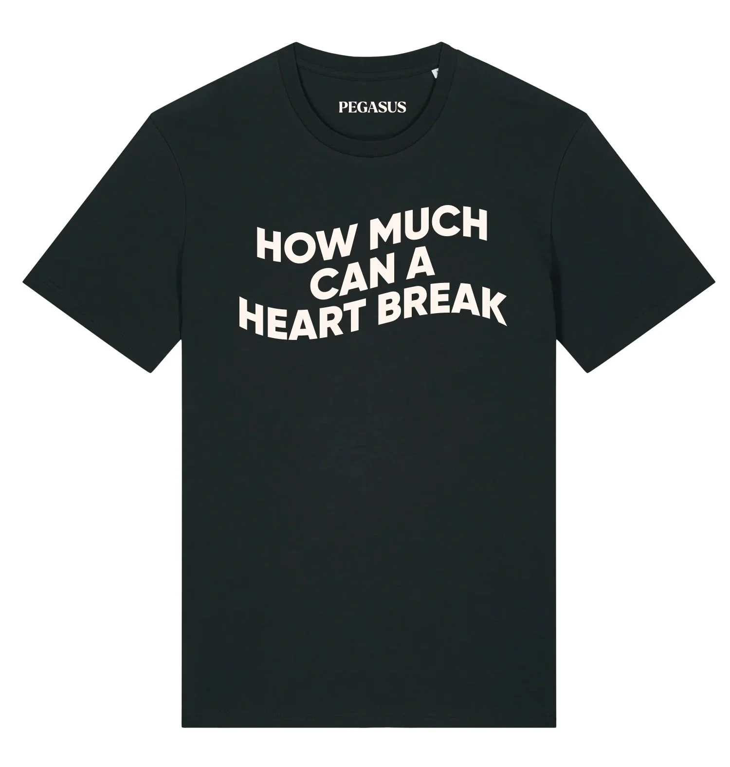 Detail of Pegasus tour T-shirt designed by freelance illustrator Sayori Wada for live music events