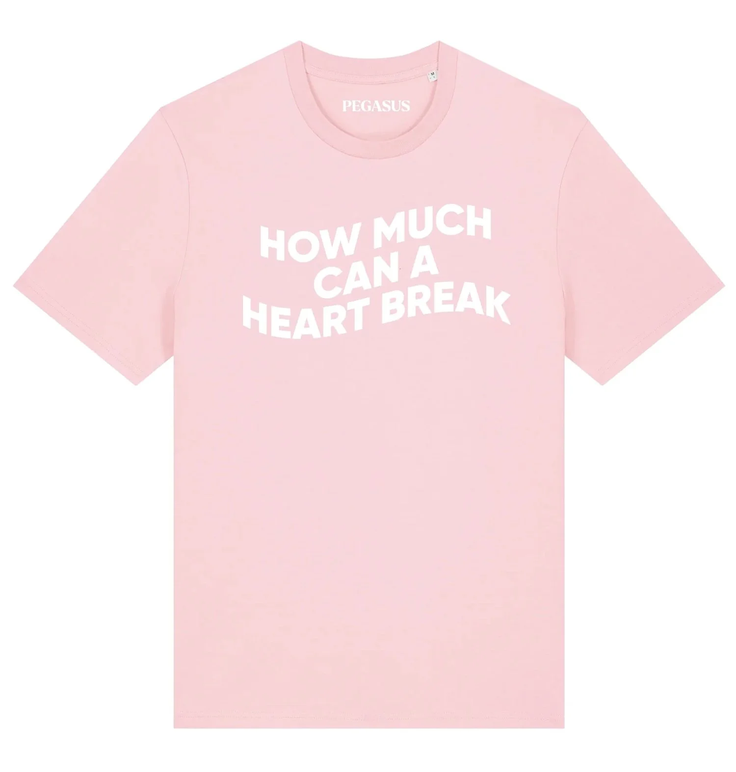 Detail of Pegasus tour T-shirt designed by freelance illustrator Sayori Wada for live music events