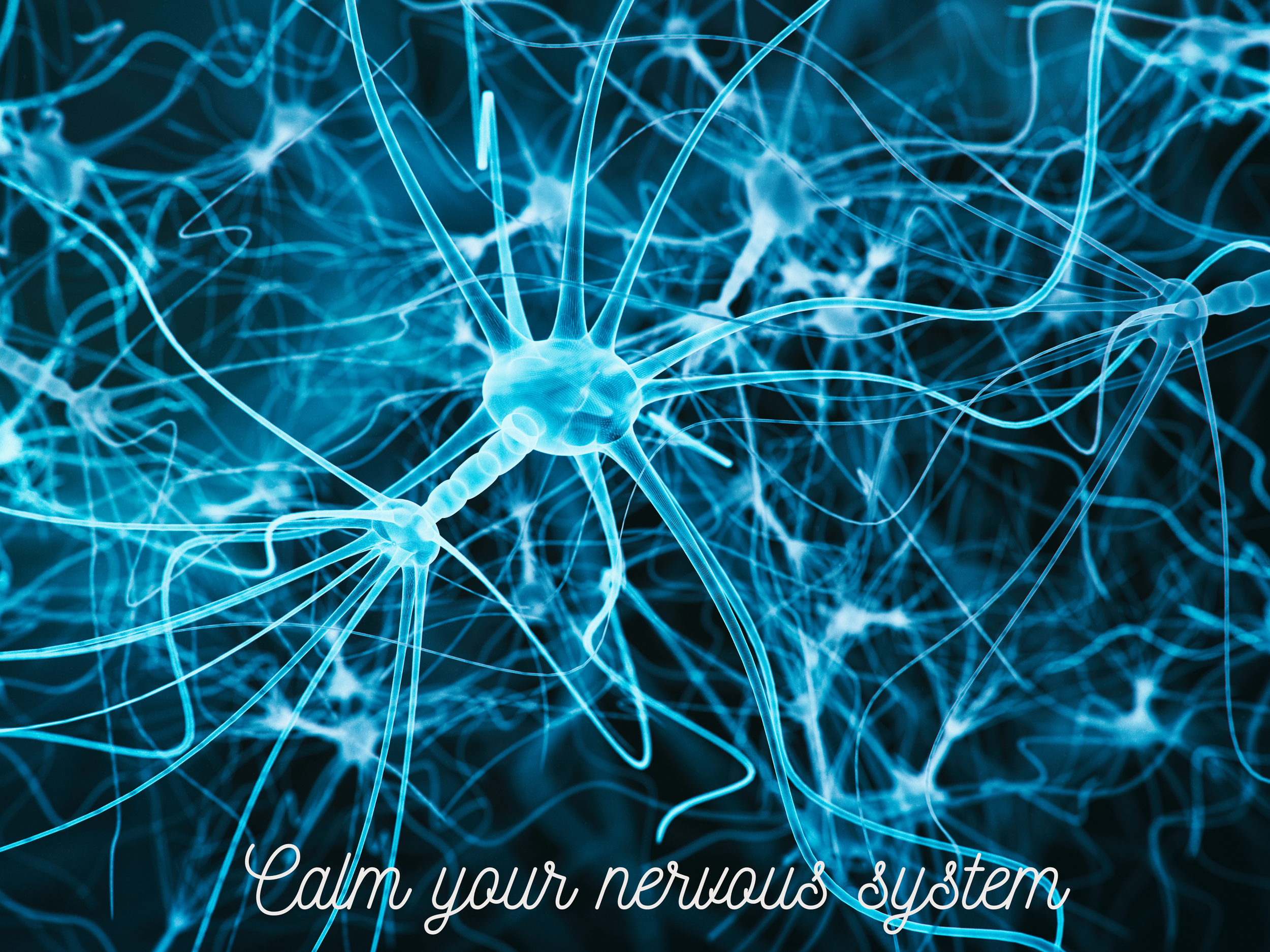 Your Nervous System Isn’t Designed for Productivity—It’s Designed for Safety