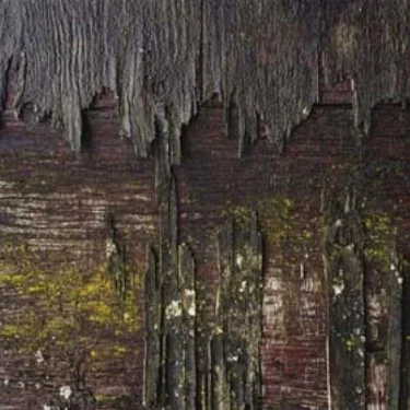 Mold.jpg