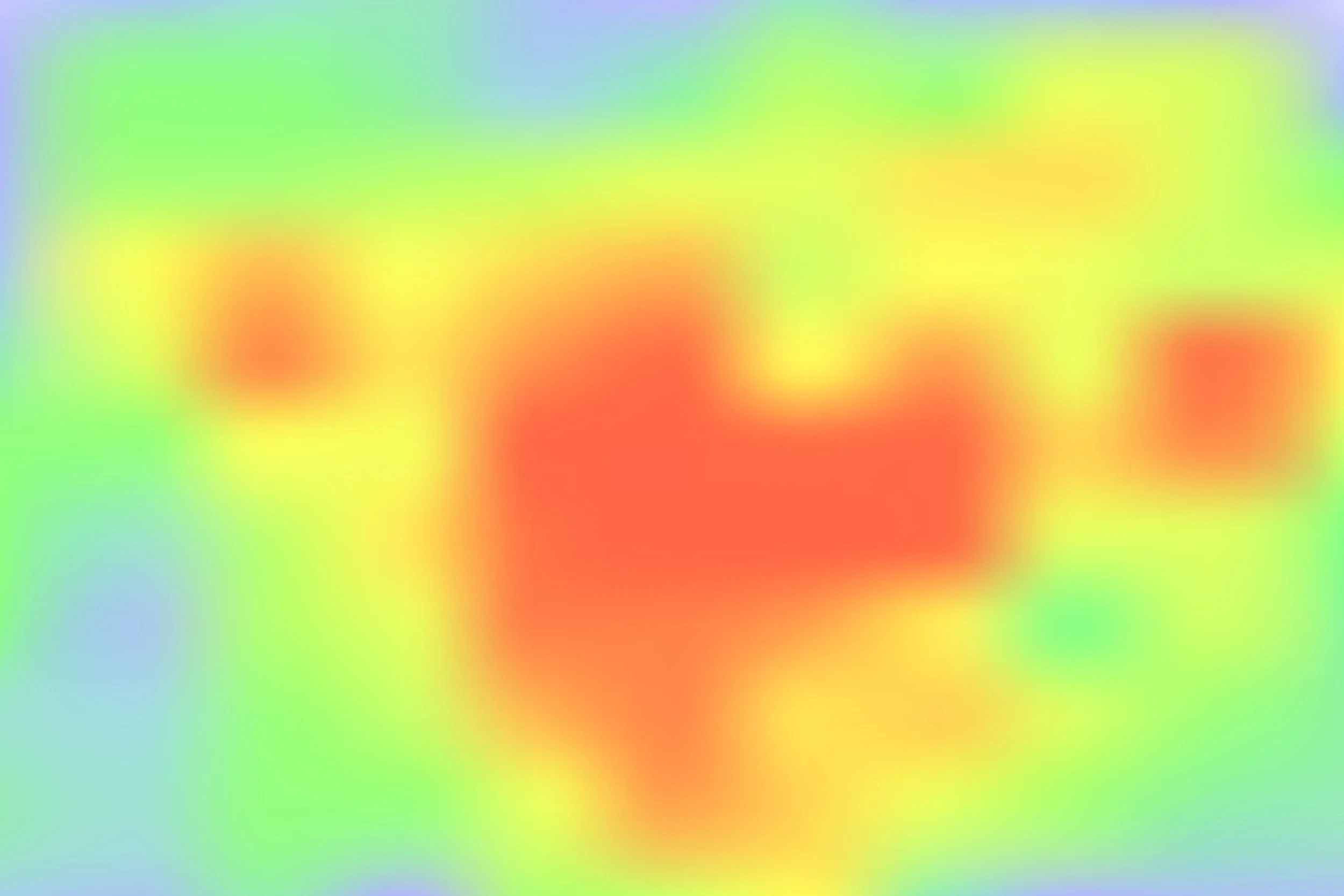 Full Body Thermography — Biothermal Imaging
