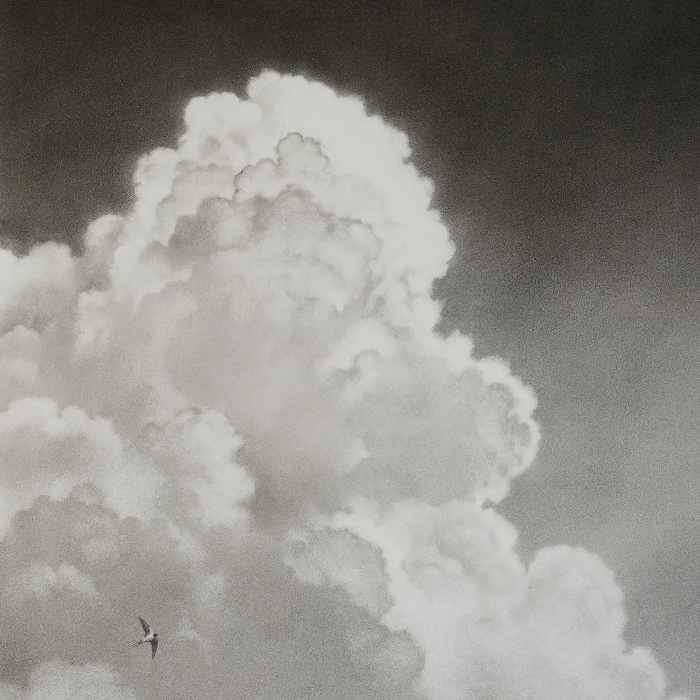 charcoal-drawing-of-clouds_andrew mortimer_det1.jpg