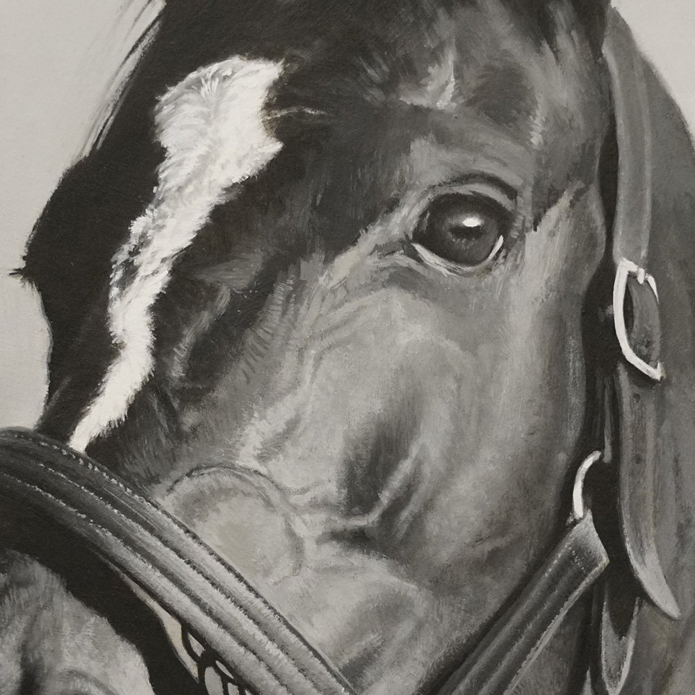 Horse portrait_det3_oil-painting-andrew-mortimer.jpg