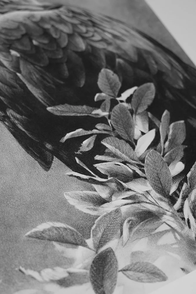 Memor aquilae_det3_charcoal-artwork-andrew-mortimer.jpg.jpg