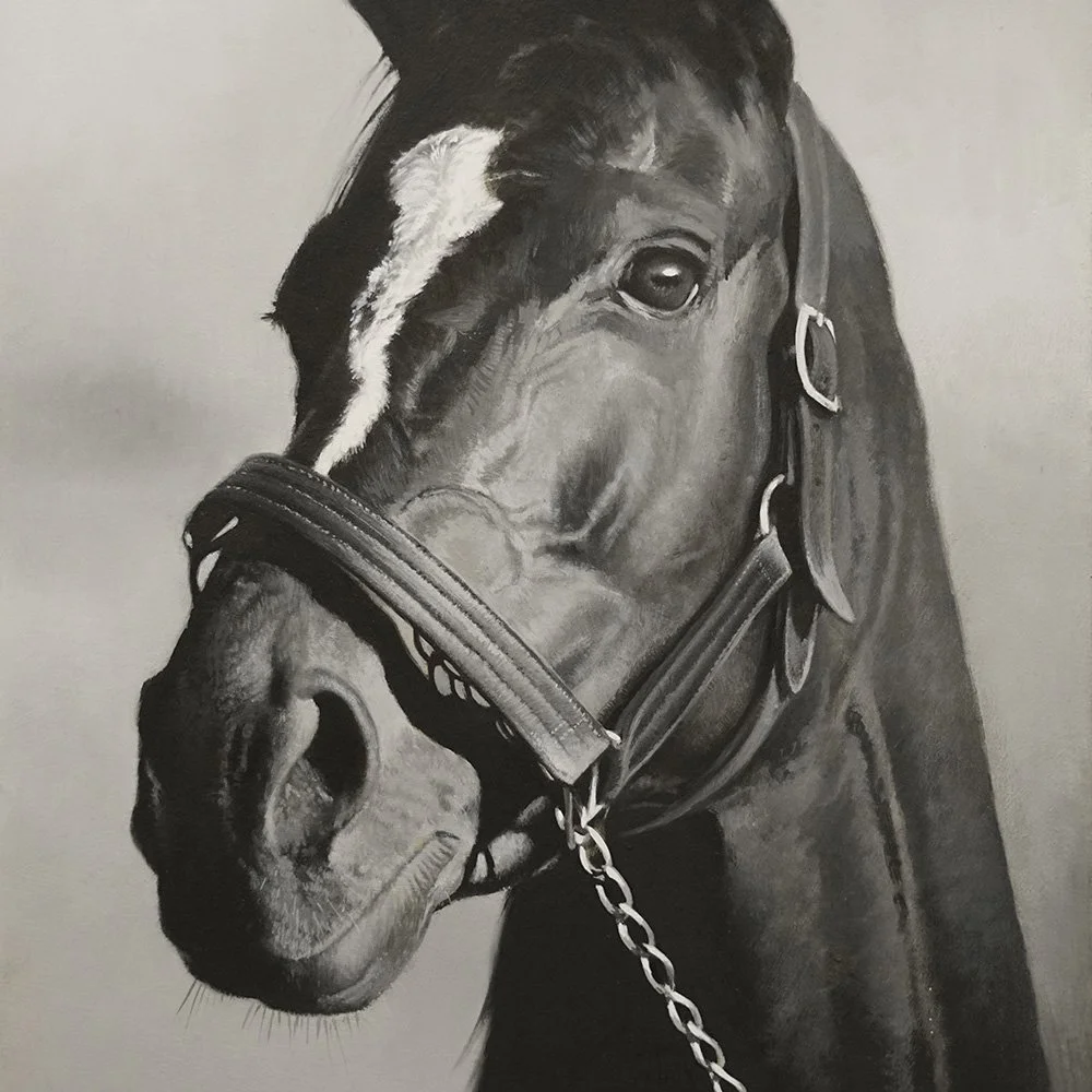 Horse portrait_det1_oil-painting-andrew-mortimer.jpg
