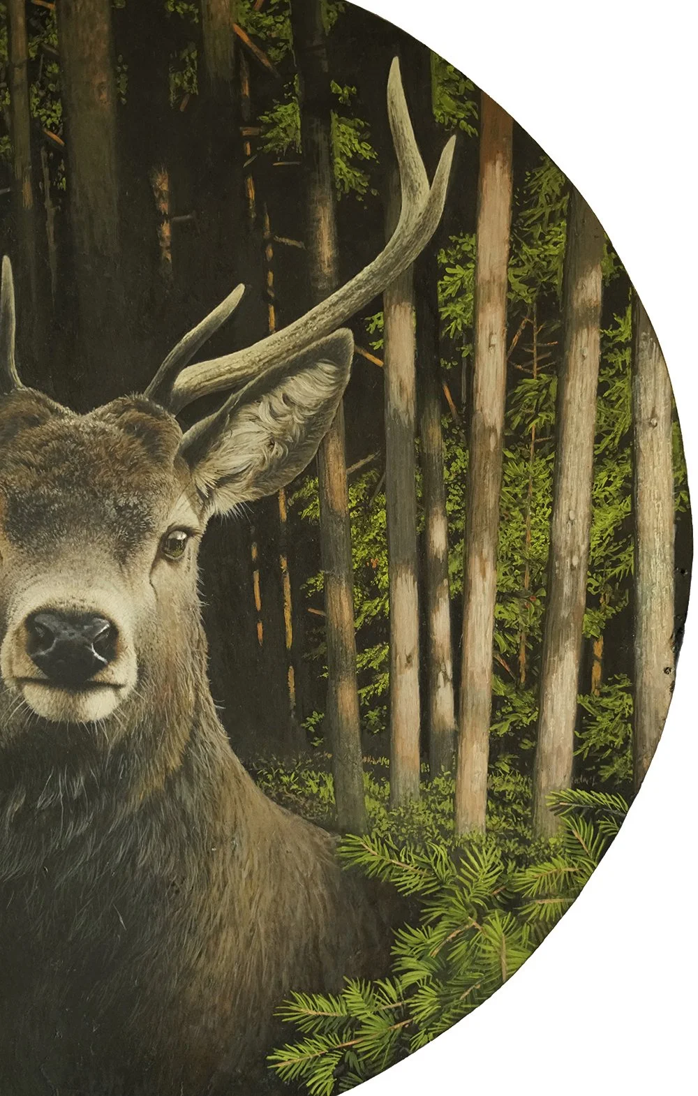 oil-paintingby-andrew-mortimer_c1.JPG
