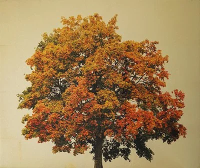 contemporary gold leaf artwork - Andrew Mortimer, gold leaf artist