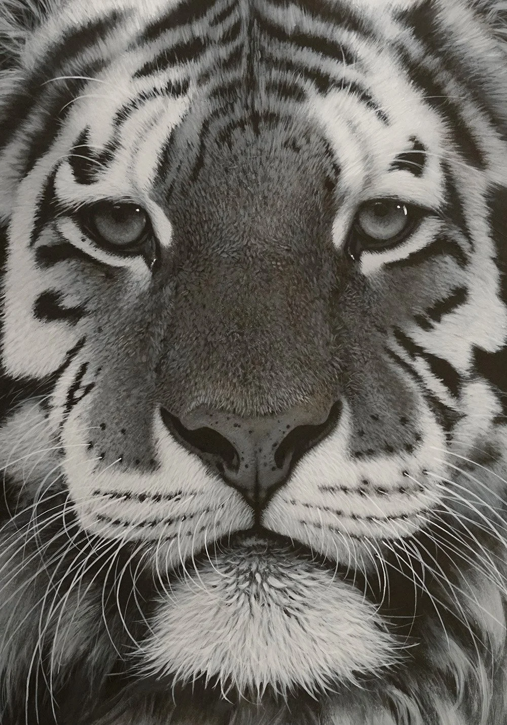 tiger_det1_acrylic-painting-andrew-mortimer.jpg