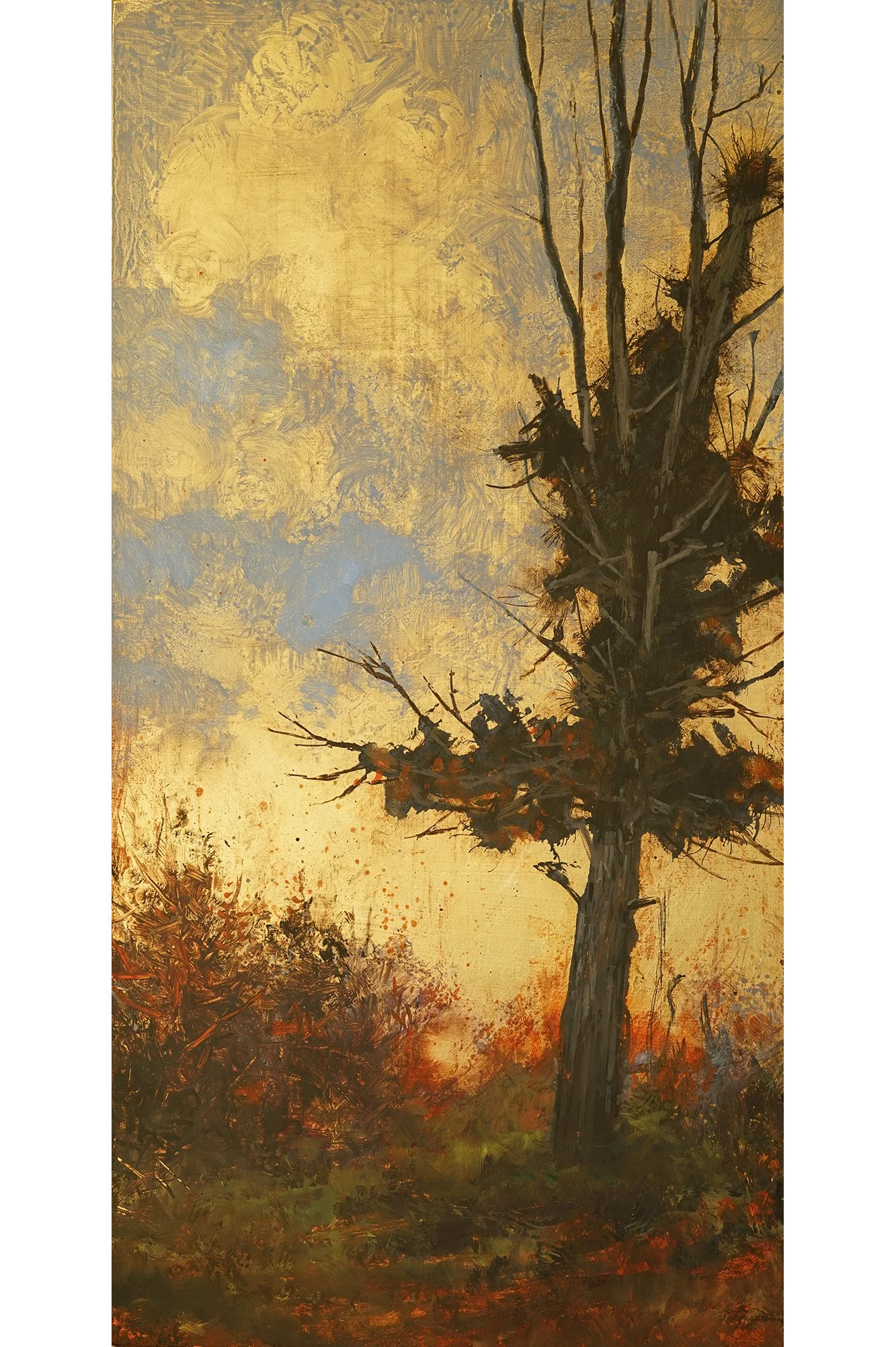 Autumn light 2