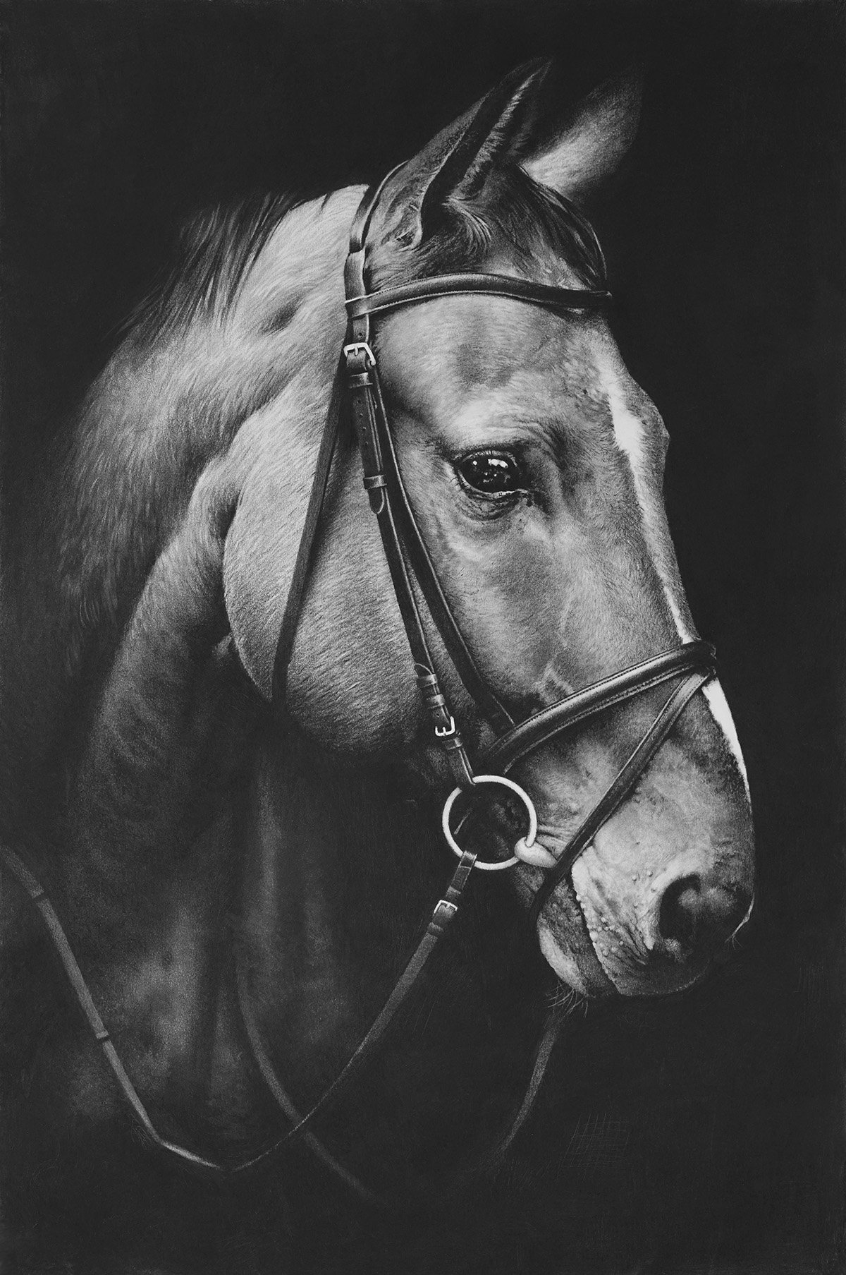 Charcoal portrait commission by contemporary British artist, Andrew Mortimer