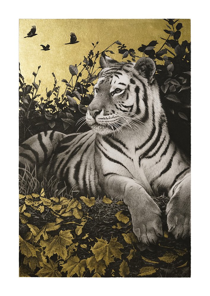 Veritas naturae_det1_charcoal-artwork-andrew-mortimer.jpg