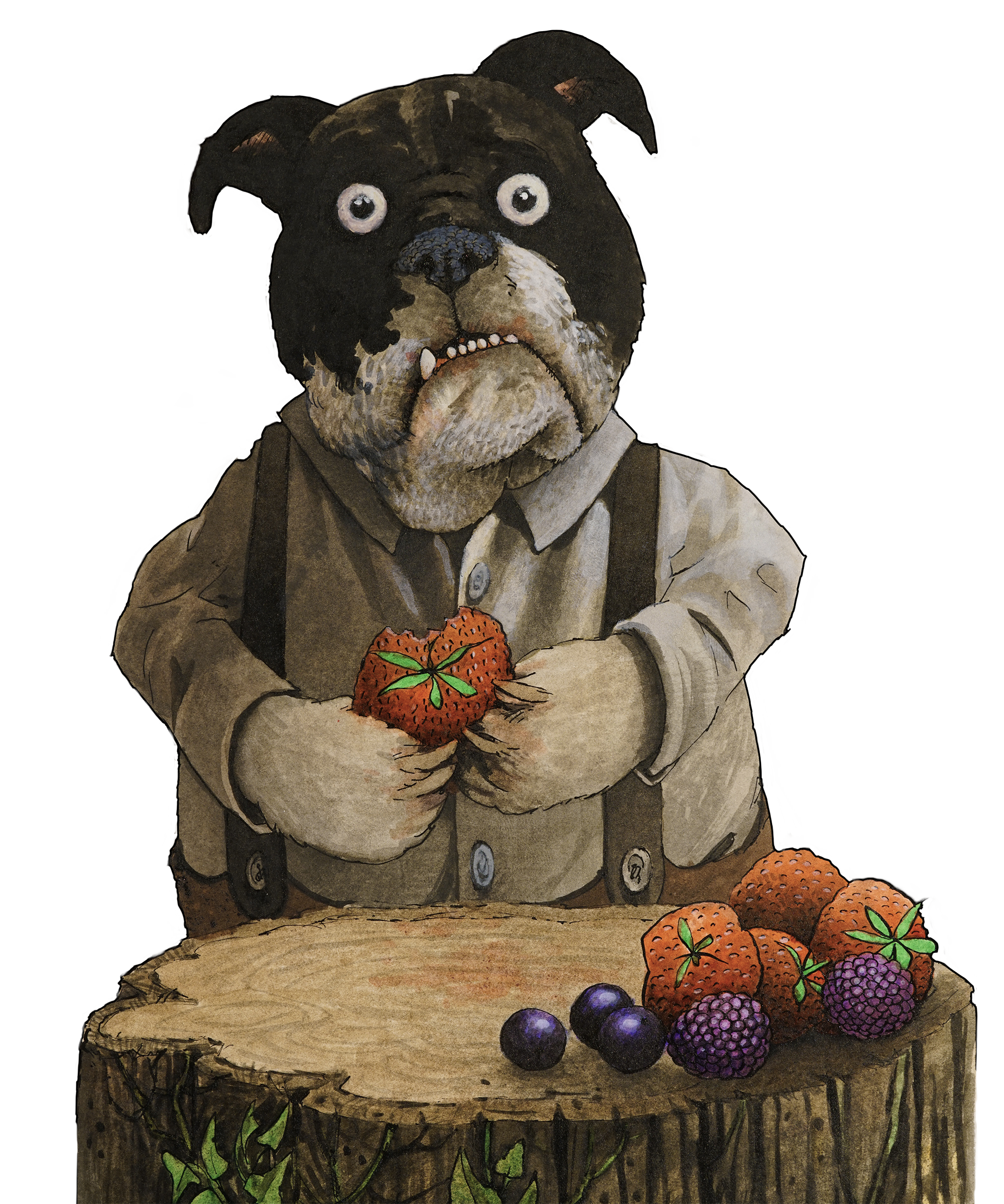 An anthropomorphic dog with a serious expression, holding a strawberry, standing behind a wooden table with various berries, including strawberries, blackberries, and blueberries.