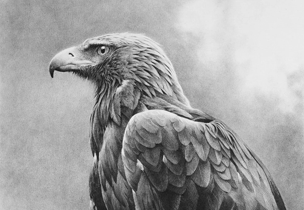 Memor aquilae_det1_charcoal-artwork-andrew-mortimer.jpg.jpg