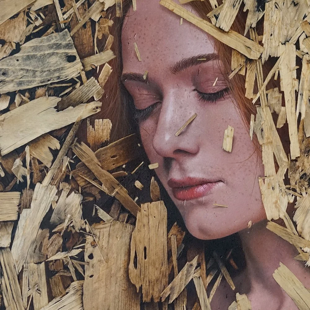 Velum vitae_det1-osb-oil-painting-andrew-mortimer.jpg