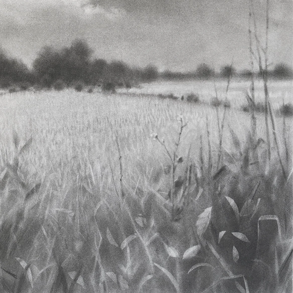 charcoal-drawing-of-clouds_andrew mortimer_det5.jpg
