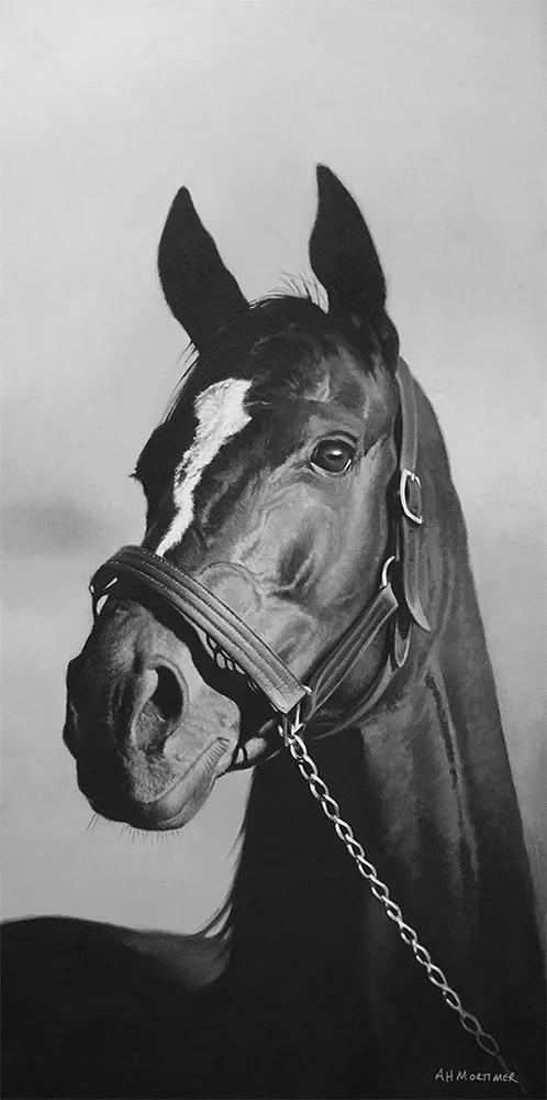 Oil painting commission of a horse by Andrew Mortimer