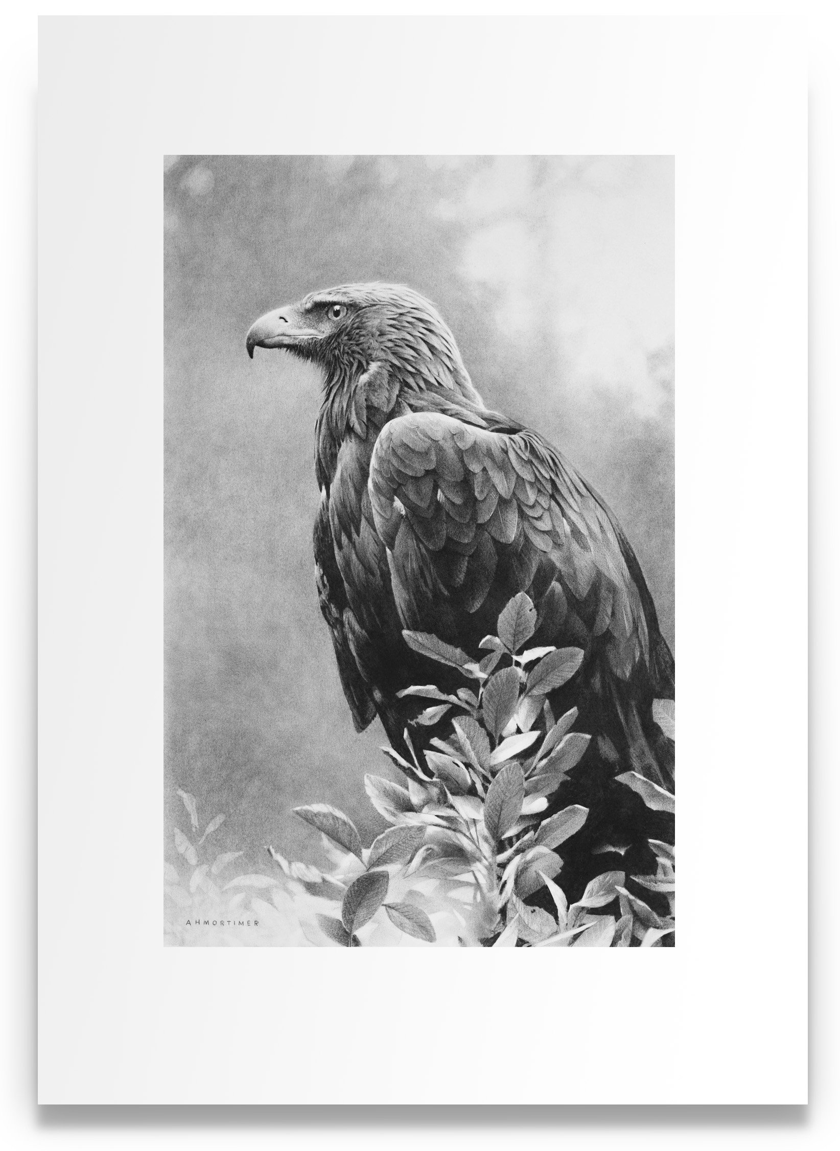 Memor aquilae_det5_charcoal-artwork-andrew-mortimer.jpg