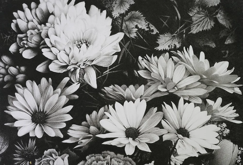 Zizania albus_det1_charcoal-artwork-andrew-mortimer.jpg