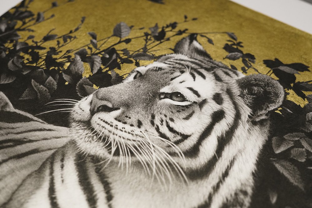 Veritas naturae_det4_charcoal-artwork-andrew-mortimer.jpg