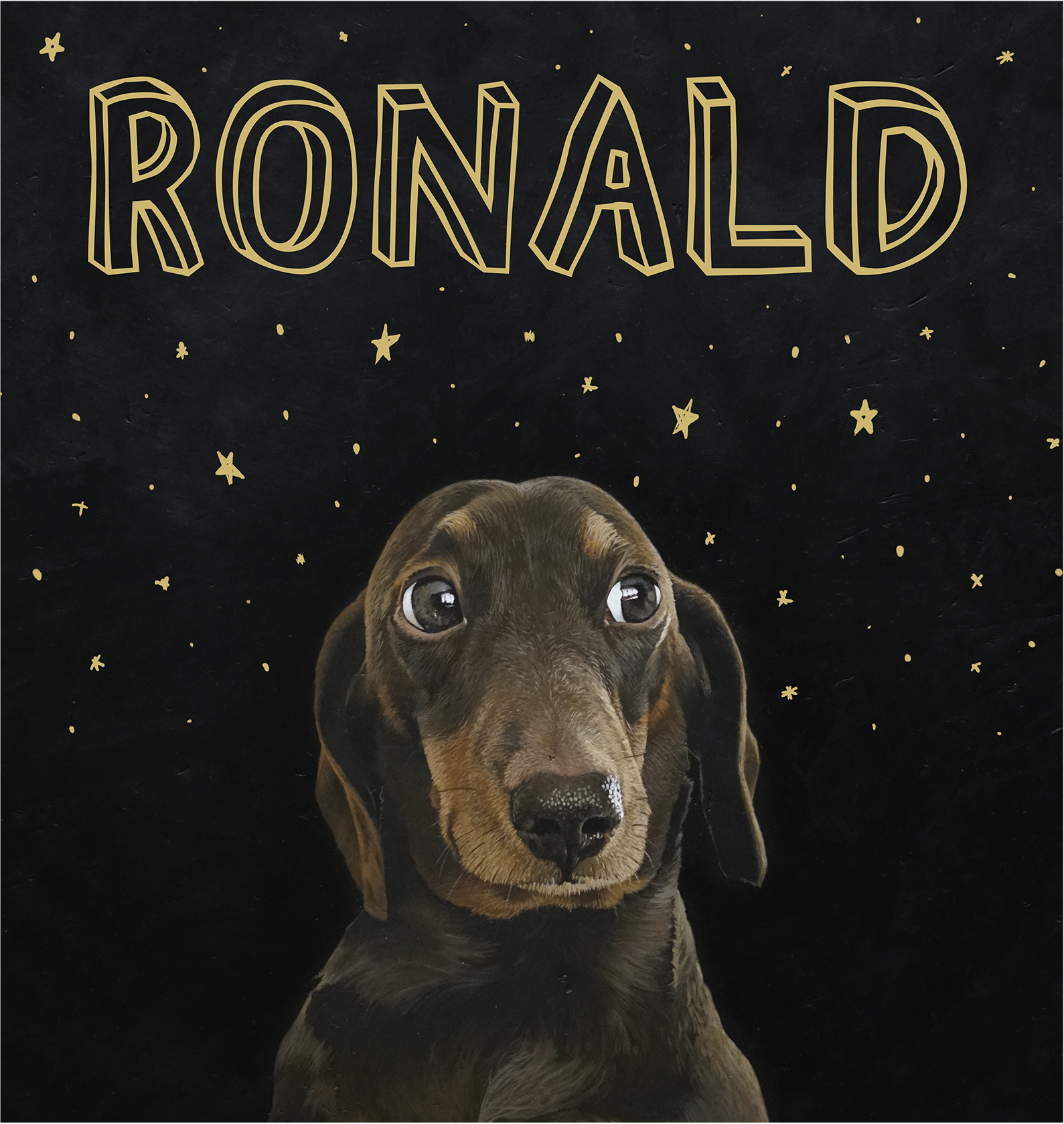 Illustration of a cute puppy with big eyes, set against a black starry background with the name 'Ronald' written in large, gold outlined letters.