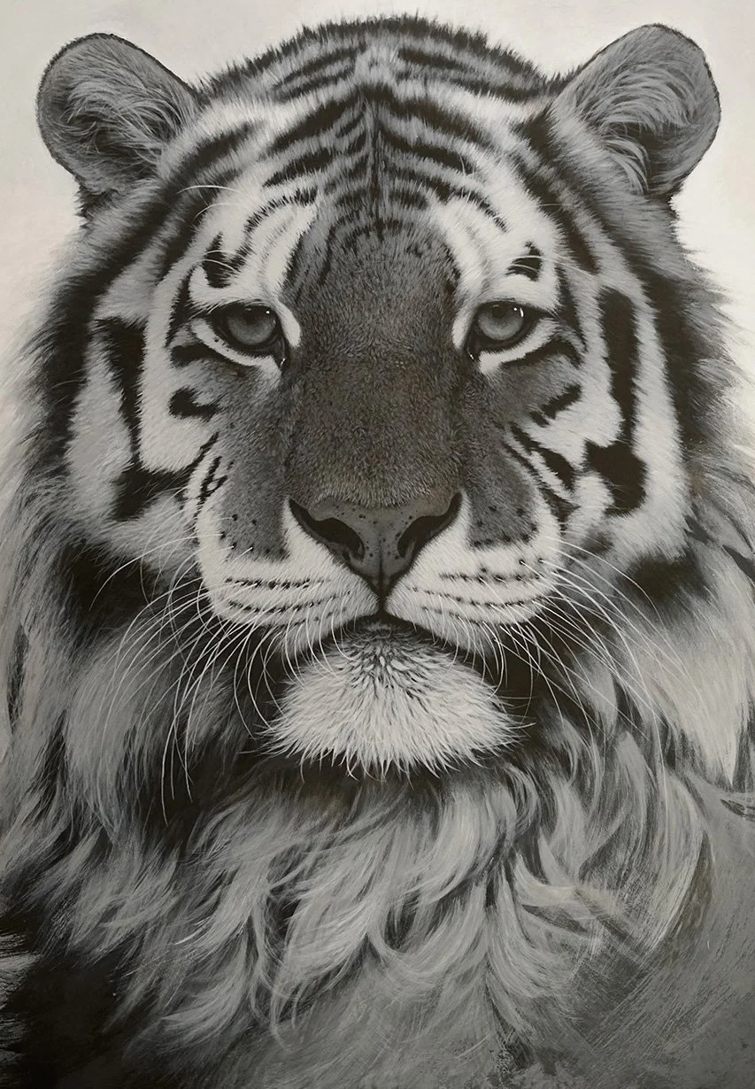 tiger-acrylic-painting-andrew-mortimer.jpg