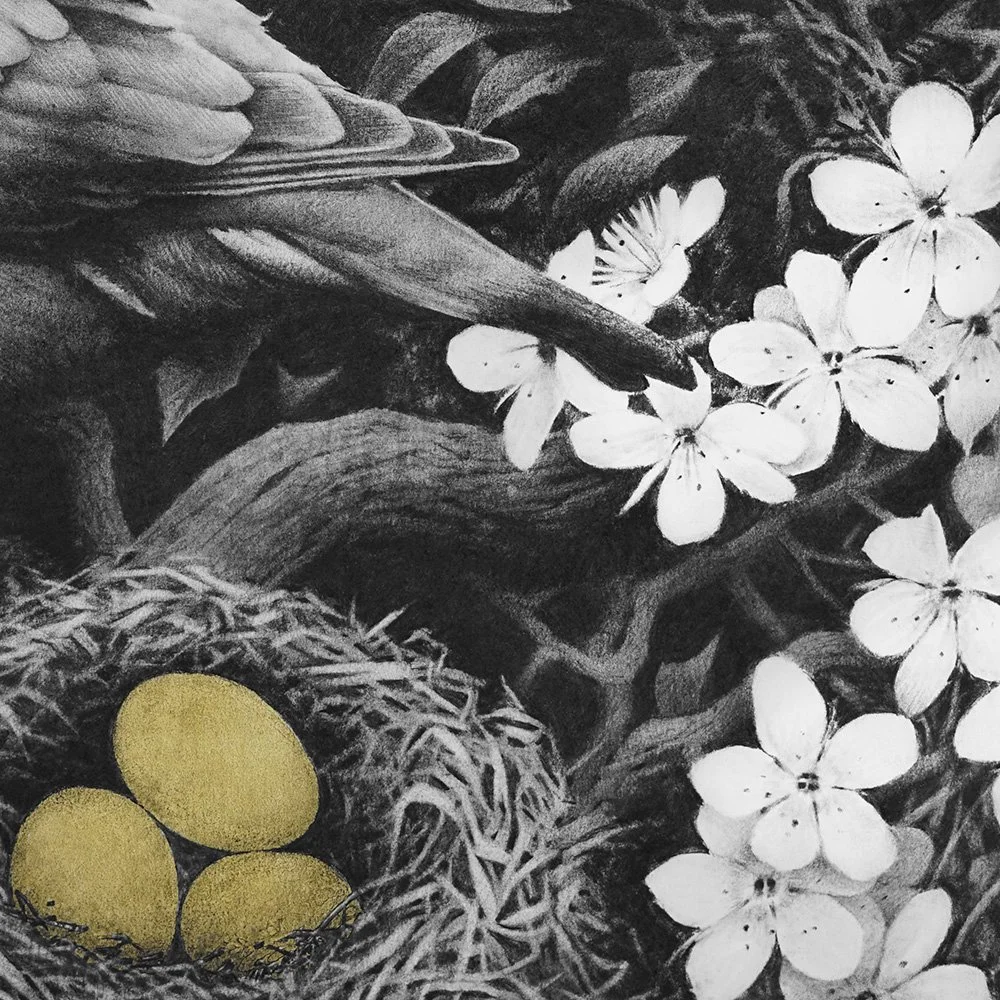 Dies lunae_det3_charcoal-artwork-andrew-mortimer.jpg (Copy)